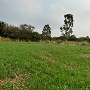 Área mecanizada particular