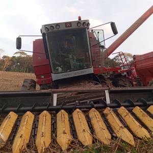 Plataforma de Milho Massey Ferguson 11x45