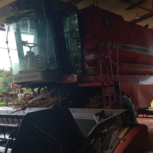 Colheitadeira Massey Ferguson MF 32