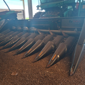 Plataforma GTS 10x50